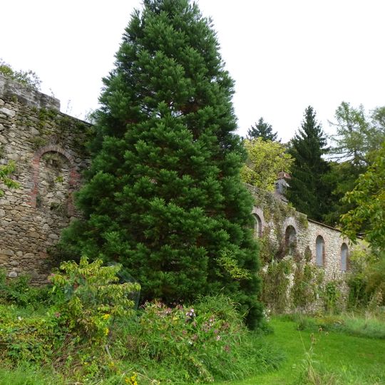 Burg Degenberg