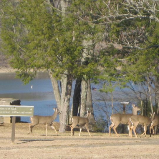 Green River Lake State Park