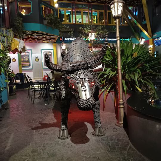 Tipsy Bull