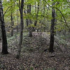 1-st Burial Mound in Konkovo
