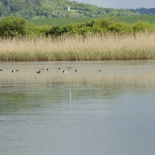 Vogelfreistätte Großer und Kleiner Lindleinsee