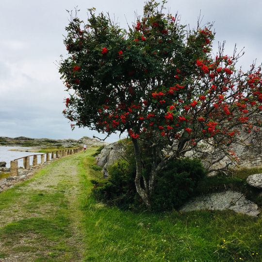 Trossö-Kalvö-Lindö