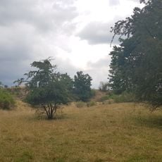 Groeve aan Hiereberg