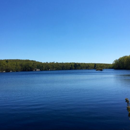 Ramapo Mountain State Forest