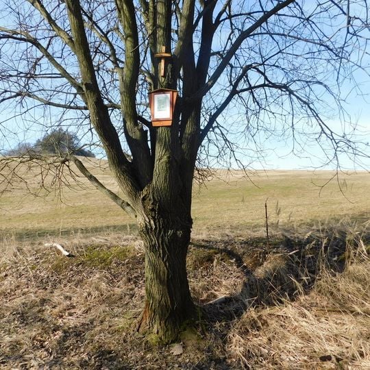 9. zastavení křížové cesty Ondřejov - Kaliště