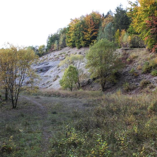 Ehemaliger Steinbruch im Taimbacher Forst NE von Oberlauter