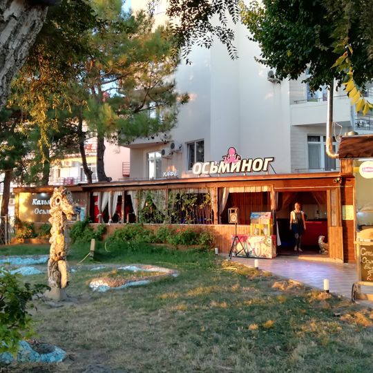 Осьминожка