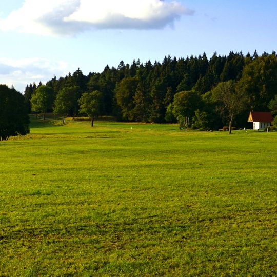 Sommerschafweide am Eingang zum Schäfertal, im Grauental, Kuhwasen und am Hühnerbühl