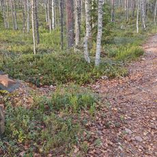 Братская могила советских воинов (Лоймольское с.п.)