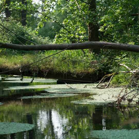 NSG Wald u. Wiesenflaechen zw. Schloss Frens u. Pliesmuehle