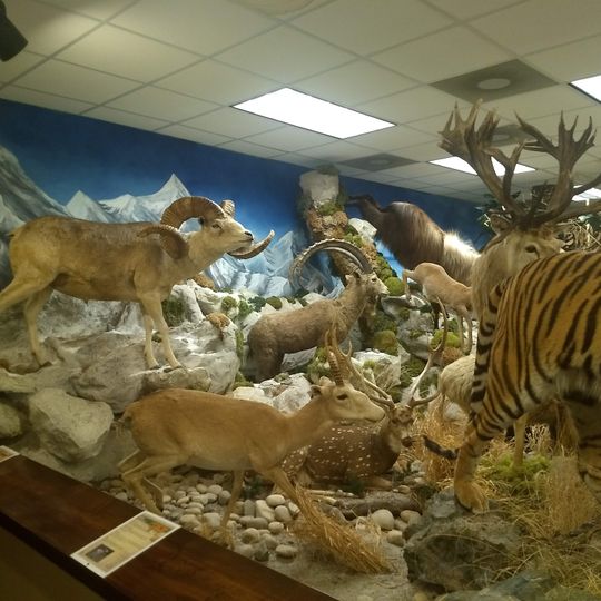 Harber Wildlife Museum
