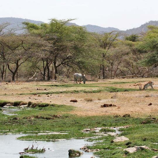 Buffalo-Springs-Nationalreservat