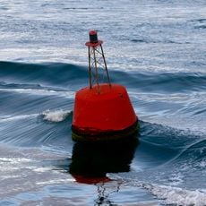 Buoy