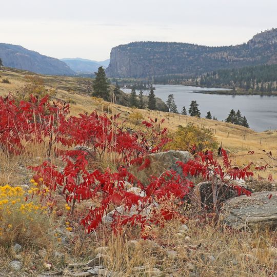 Parc provincial Vaseux Lake