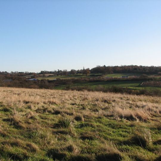 Tylers Common