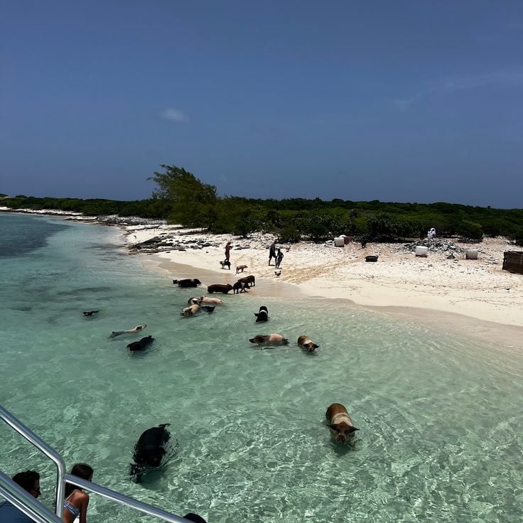 White Bay Cay (Tyler Perry)