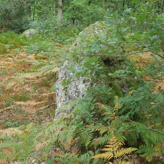 Steinreihe von Bruyères