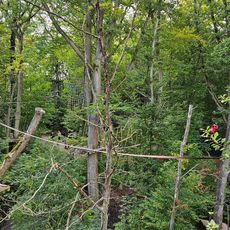 Waldkletterpark Weinsberg