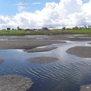 Pitch Lake