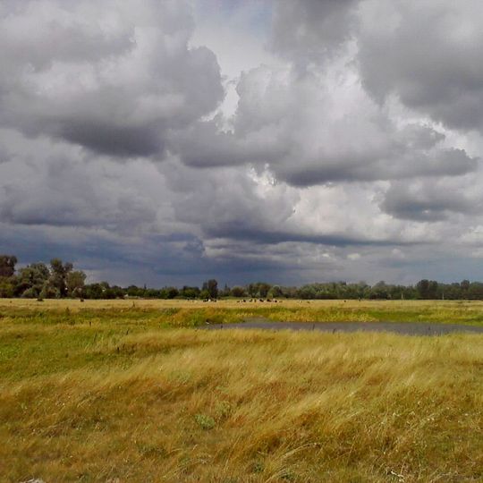 Hlynskyi Hydrological Reserve