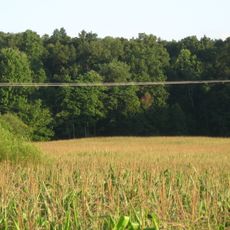 Ennis Archaeological Site