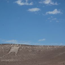Atacama Giant