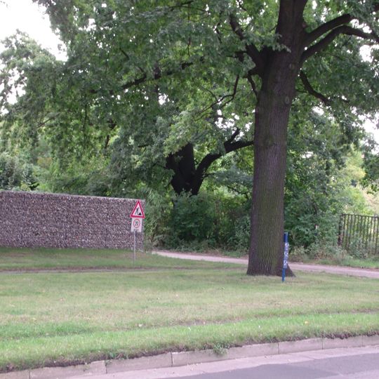 Naturdenkmal [[Eichen