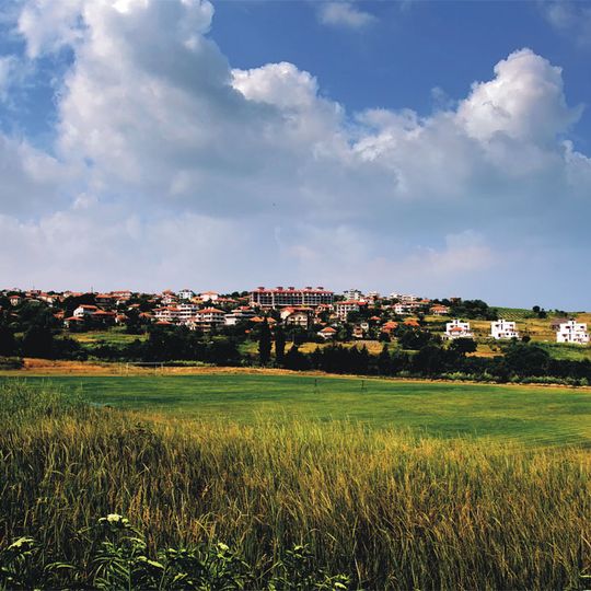 Byala
