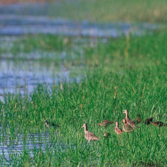 Quivira National Wildlife Refuge