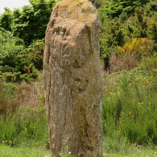 Menhir du coll de la Dona Morta