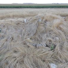 Tumulus de Menainville