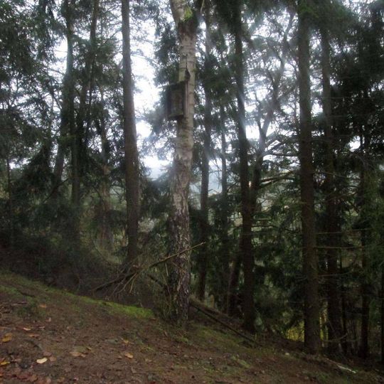 Obrázek západně od Strážiště