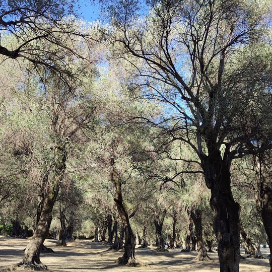 Parc Départemental du Pian