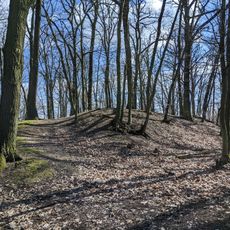 Tvrz Nad Čertůvkou