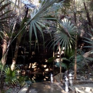 Cenote Tajma-Ha