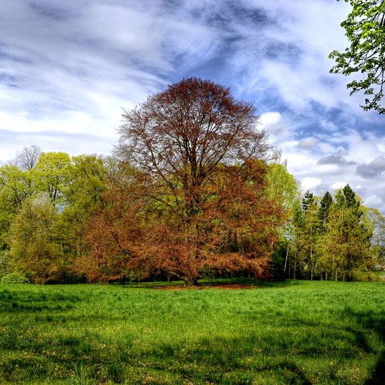Castle park in Rájec nad Svitavou