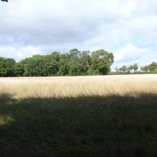 The Roundabout hillfort, 460m west of Barter's Hill Farm