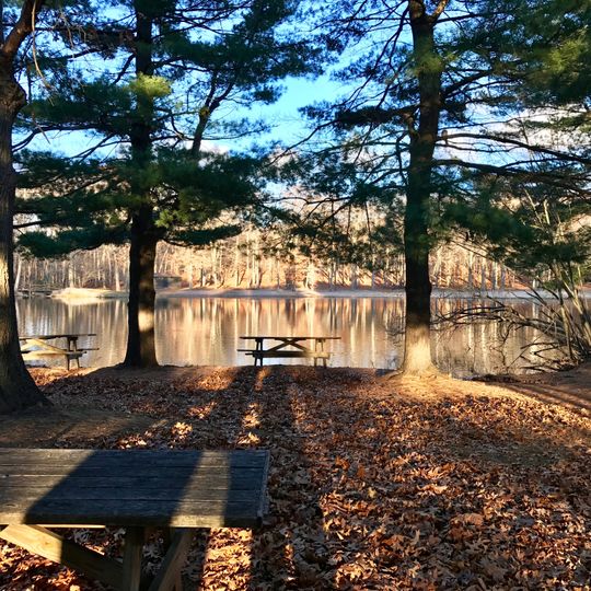Wharton Brook State Park