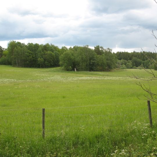 Lingsberg Runestones