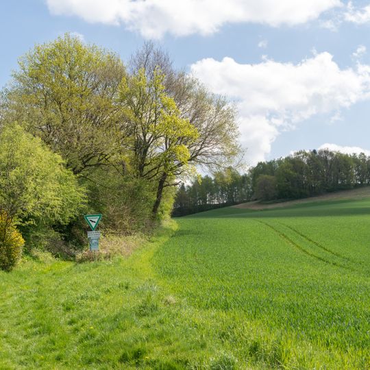 NSG Abgrabung Stemmen