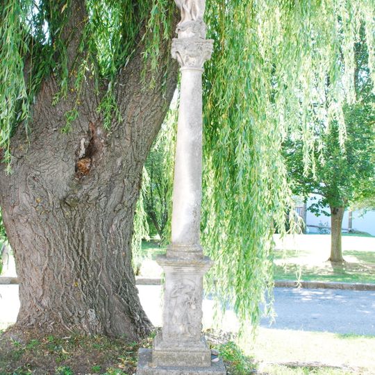 Immaculata column, Sallapulka