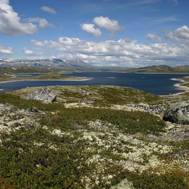 Hardangervidda