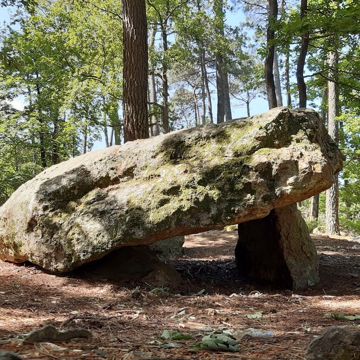 Dolmen de la Pierre Procureuse