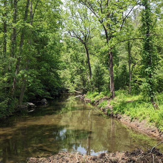 Stone Mountain State Park