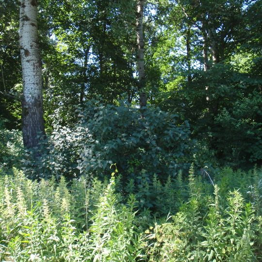 New Jewish cemetery in Końskowola