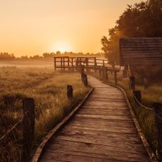 Victorburer und Georgsfelder Moor
