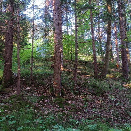 Cultural heritage D-7-8430-0037 in Schwangau