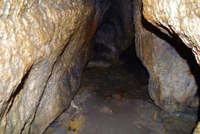 Interior 0