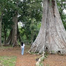 Candi Koto Mahligai
