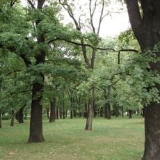 Park Gustawa Manitiusa